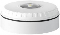 Световой оповещатель, в белом корпусе и белым индикатором, для монтажа на потолок